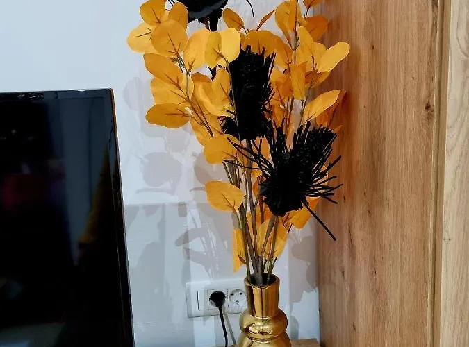 公寓 Retro Chic 普拉